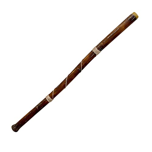 Modern Didgeridoo - Beeswax Mouthpiece - Easy Player!