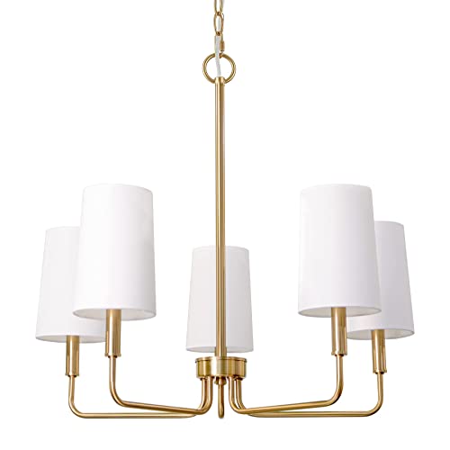 Modern Gold Chandelier Lighting Fixture