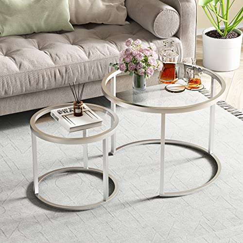 Modern Nesting Coffee Table Set, Tempered Glass, Silver