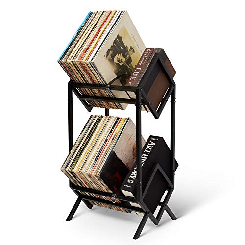 VIVIDECOR Vinyl Record Holder, Holds 80-100 Vinyl Records, Record Rack with  Protective Edges To Avoid Punctures, Vinyl Record Storage, Books, Albums
