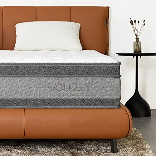 MOLBLLY 12 Inch Cooling-Gel Memory Foam and Individually Pocket Innerspring Hybrid Queen Bed Mattress