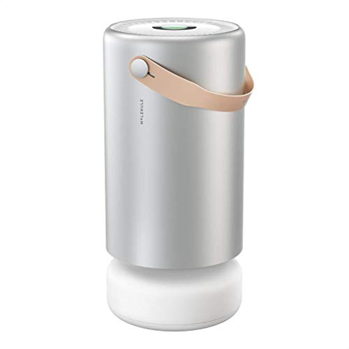 Molekule Air Pro: High-Tech Air Purifier for Large Rooms