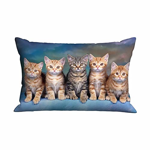 Cute Kitten Cat Pillow Case for Home and Office Decor