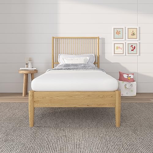 NapQueen 5 Inch Memory Foam Twin Mattress - Affordable & Comfortable