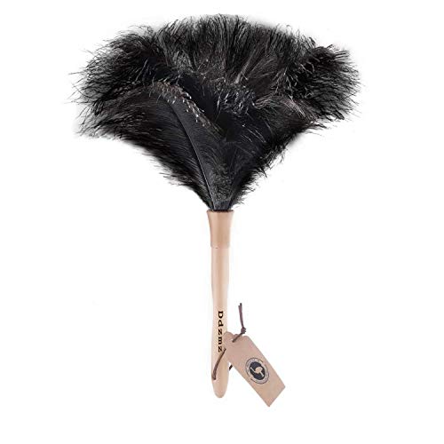 Natural Ostrich Feather Duster with Wooden Handle