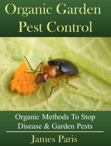 Natural Solutions for Garden Pest Control