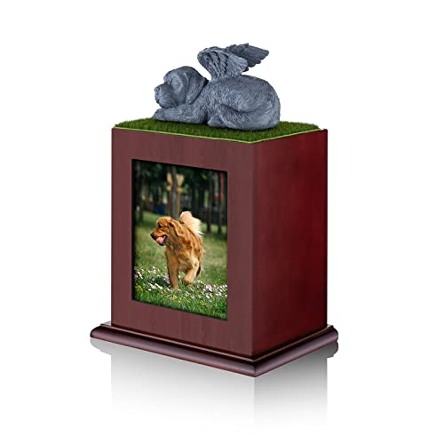 NEWDREAM Pet Cremation Urns - A Beautiful Memorial for Your Beloved Dog