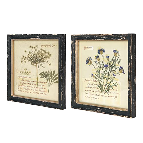 NIKKY HOME Botanical Wall Art Set of 2