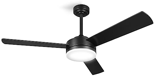 nkorka Black Ceiling Fans with Lights and Remote
