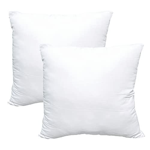 Obruosci Luxury 18 x 18 Ultra Soft Pillow Inserts