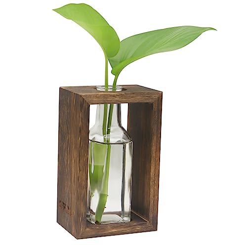 OFFIDIX Plant Terrarium with Wooden Stand