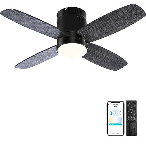 Ohniyou 38'' Small Low Profile Ceiling Fan with Lights