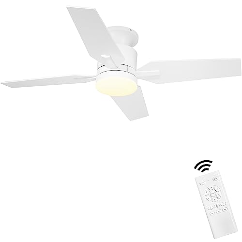 Ohniyou Ceiling Fan with Lights