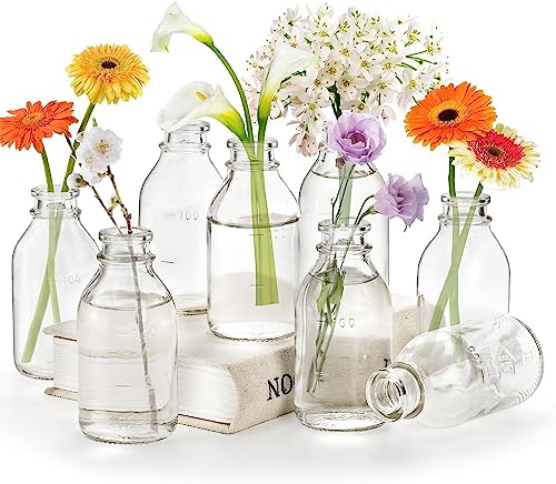 Okllen Set of 12 Glass Bud Vase