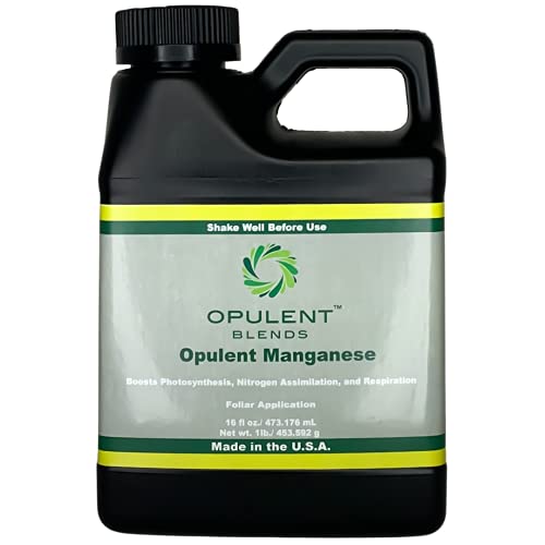 Opulent Manganese - Liquid Fertilizer for Lawns and Plants