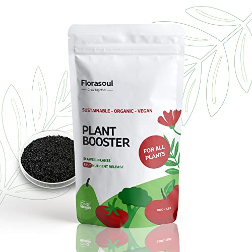 Organic Fertilizer for Plants