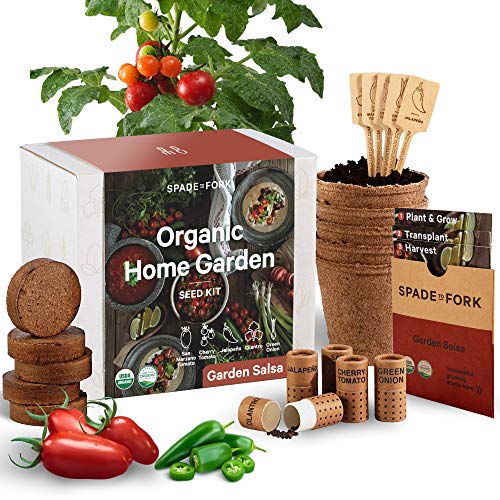 Organic Indoor Salsa Garden Starter Kit