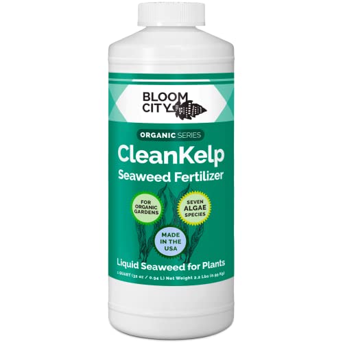 Concentrated Organic Liquid Kelp & Seaweed Extract - Quart Size