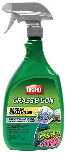 Ortho Garden Grass Killer Spray