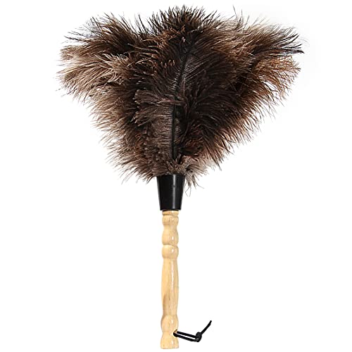 Ostrich Feather Duster with Wooden Handle