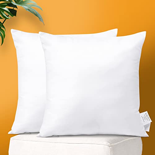 OTOSTAR Decorative Throw Pillow Inserts Set