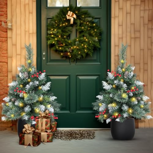 https://storables.com/wp-content/uploads/2023/11/outdoor-christmas-tree-set-of-2-battery-operated-prelit-24.5in-small-porch-holiday-decor-w-30-led-lights-for-pathway-yard-garden-partial-flocked-51X0PEUraWL.jpg