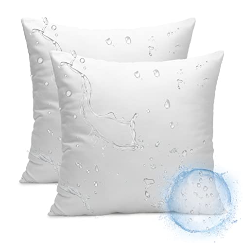 Outdoor Pillow Inserts, Set of 2, Water Resistant