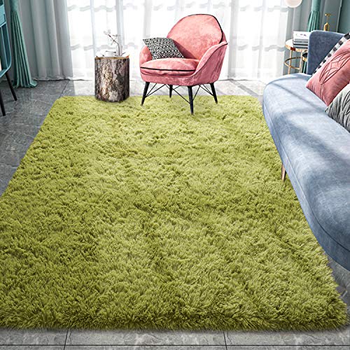 Pacapet Fluffy Area Rug - Stylish and Cozy