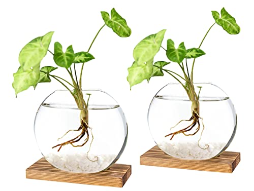 PACDONA Tabletop Glass Planter Terrarium with Wooden Stand, 2 Pack, Brown