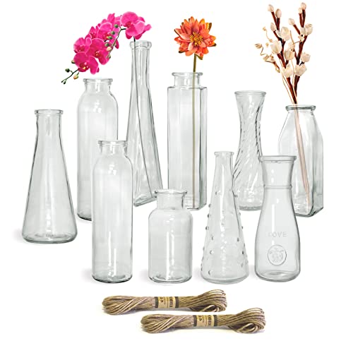 Paisener Clear Glass Bud Vase Set for Wedding Decor, Pack of 10