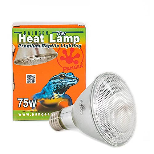 Pangea Halogen Heat Lamp for Reptiles (75 Watt)