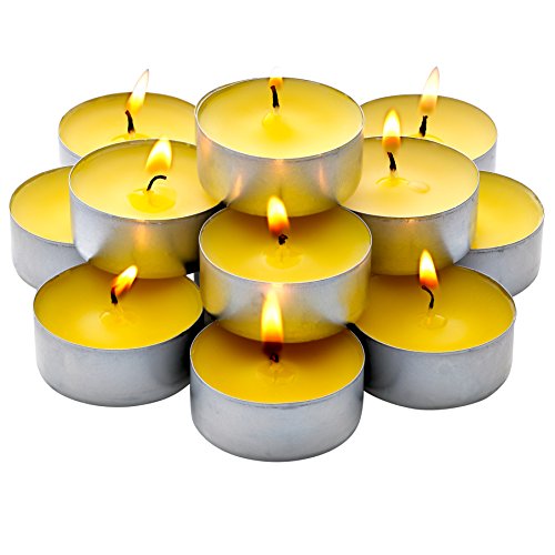 https://storables.com/wp-content/uploads/2023/11/parnoo-bulk-pack-60-pack-citronella-tealight-candles-41HEhAHOKgL.jpg