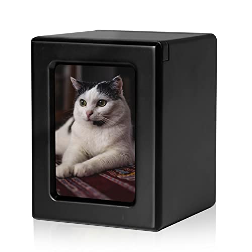 PCS Cat Urn for Ashes, Pet Cremation Box Black-Small