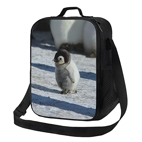 Penguins Lunch Box Picnic Bags