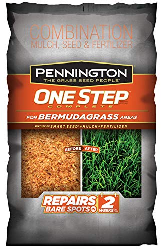 Pennington Bermudagrass Bare Spot Grass Seed
