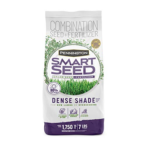 Pennington Smart Seed for Dense Shade Grass - 7 lb