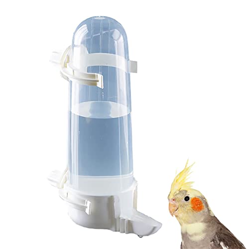 Pet Bird Water Feeder