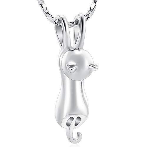Pet Cremation Jewelry for Ashes