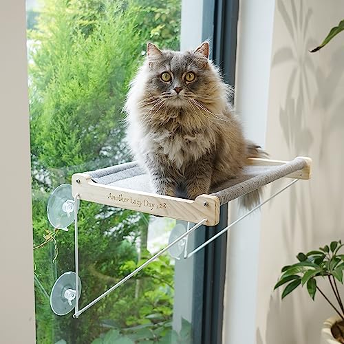 Foldable Cat Window Perch with Suction Cups by PETKARAY
