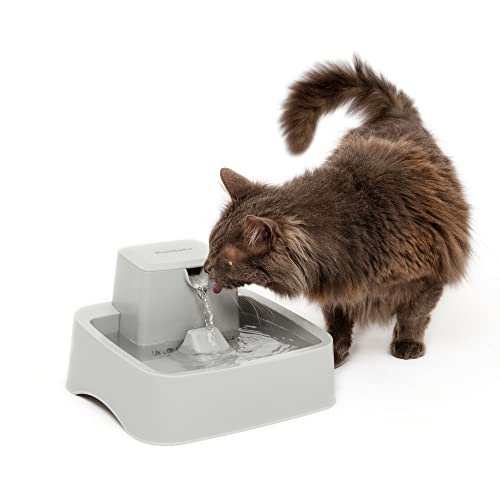 PetSafe Drinkwell Cat Water Fountain