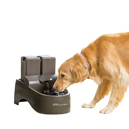 PetSafe Outdoor Dog Water Fountain, 450 oz Capacity, Gray