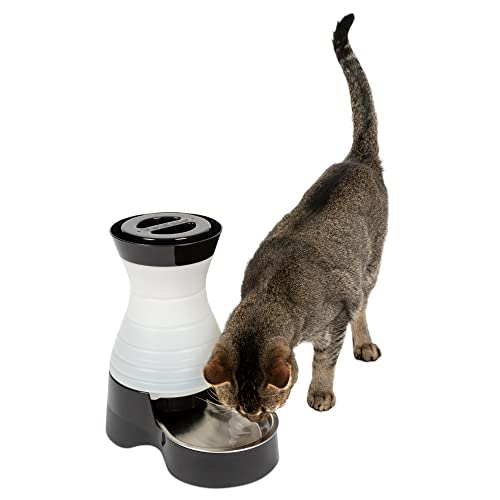 PetSafe Small Healthy Pet Water Station - 64oz - Stainless Steel Bowl