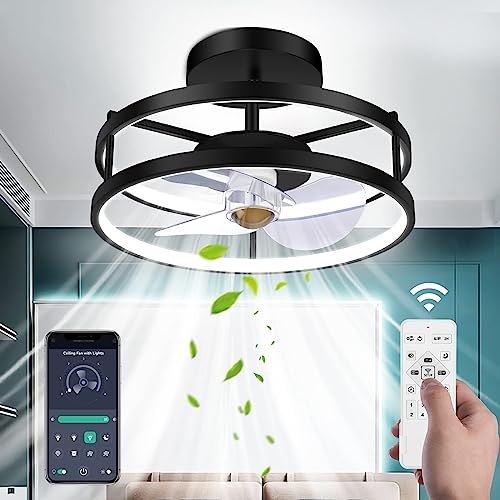 PEZOTA Ceiling Fans with Lights and Remote