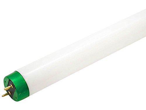 Philips 20W 24in Daylight White Fluorescent Tube