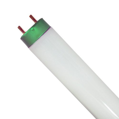 Philips 32W 48in T8 High Lumen Bright White Fluorescent Tube