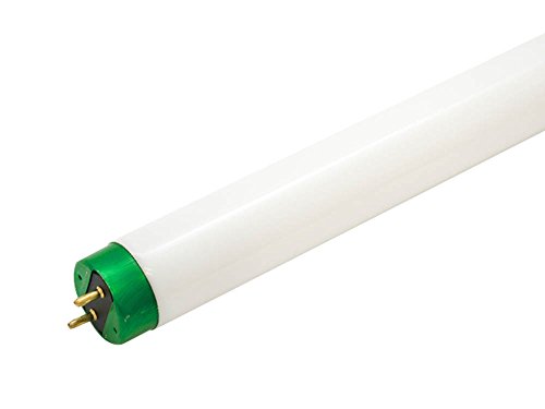 Philips 40W Fluorescent Tube