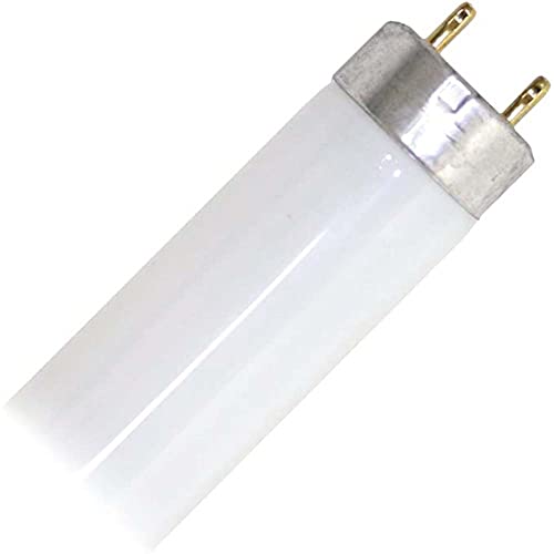 Philips T8 Fluorescent Tube Light Bulb