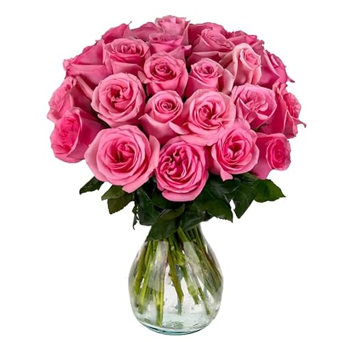 PICK YOUR OWN DELIVERY DATE | 25 Roses with Vase