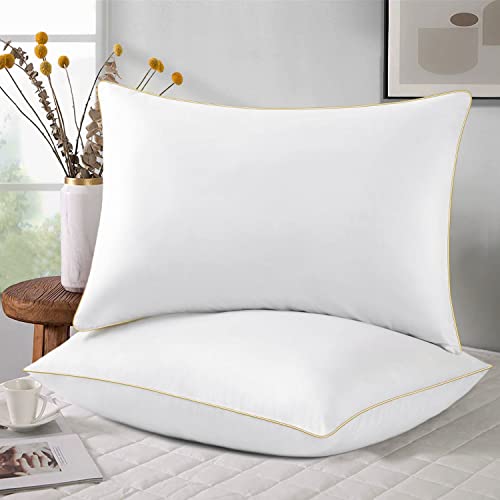 https://storables.com/wp-content/uploads/2023/11/pillows-queen-size-set-of-2-cooling-hotel-luxury-pillows-premium-soft-down-alternative-breathable-pillows-for-bed-pillow-for-back-stomach-or-side-sleepers-41y3zVguIUL.jpg