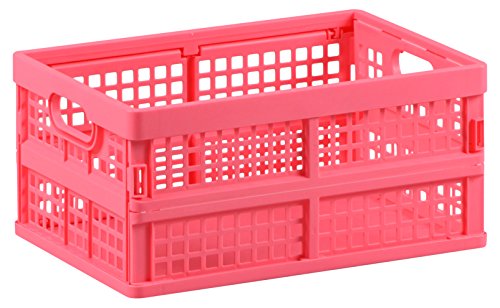 Pink Folding Container Flex DVD Comic Storage Box